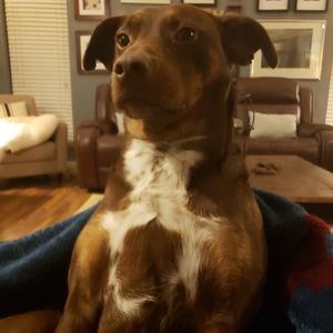 Meet your Posher, Tracy